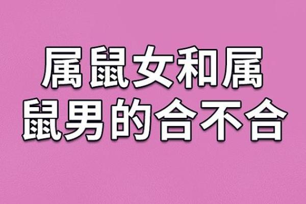 鸡女和鼠男的属相合不合婚姻 鸡女跟鼠男合不合