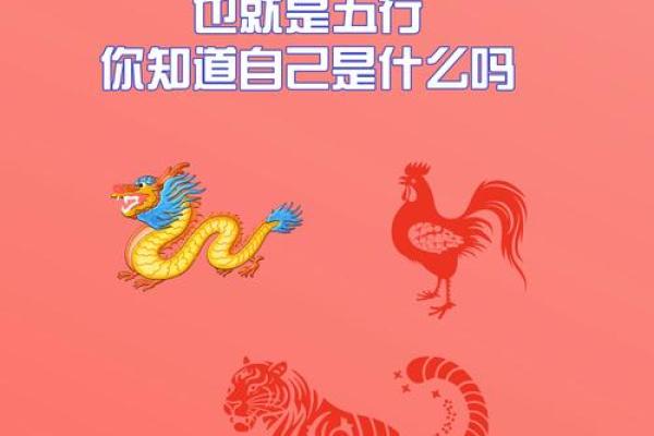 属于什么生肖 韩信属于什么生肖