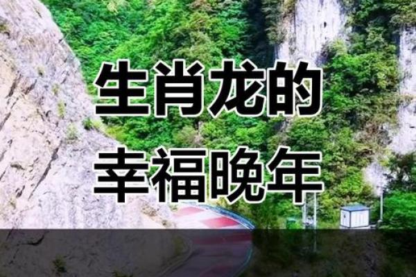 属龙人几月出生最旺 属龙几月出生最旺夫