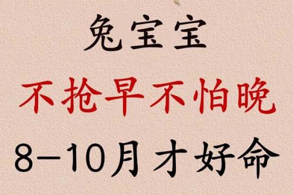 属兔是哪年出生的 属蛇是哪年出生的