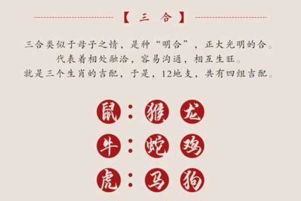 2008年出生的属鼠孩子，在2024年龙年的具体年龄是多少？