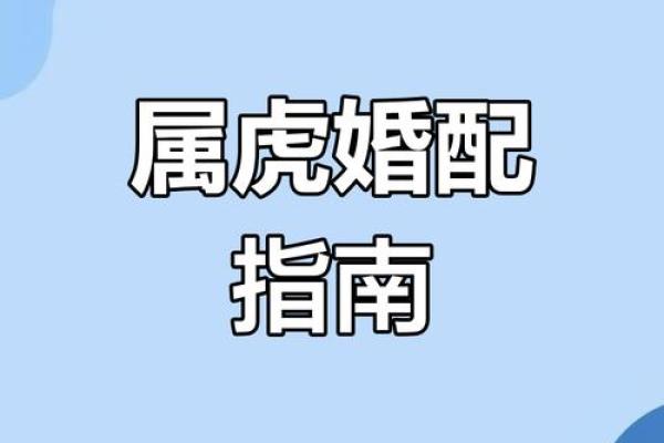 属虎配偶最佳属相 属虎配偶最佳属相婚配