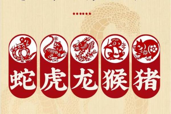 直道守节是什么生肖