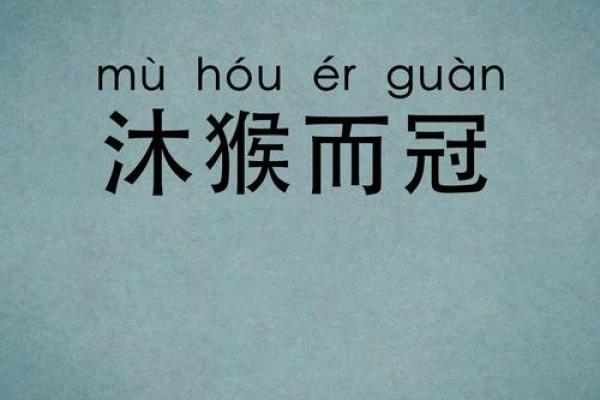沐猴而冠打一生肖的准确谜底是什么？求详细解释