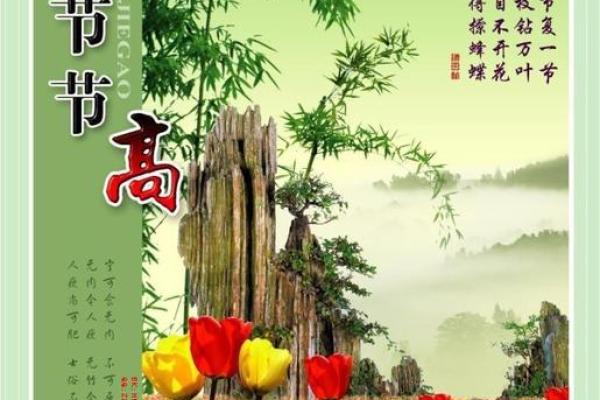 高风亮节代表什么生肖(高风亮节打一动物)
