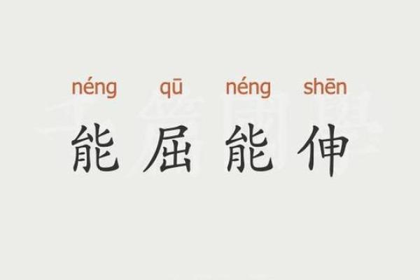 高风亮节代表什么生肖(高风亮节打一动物)
