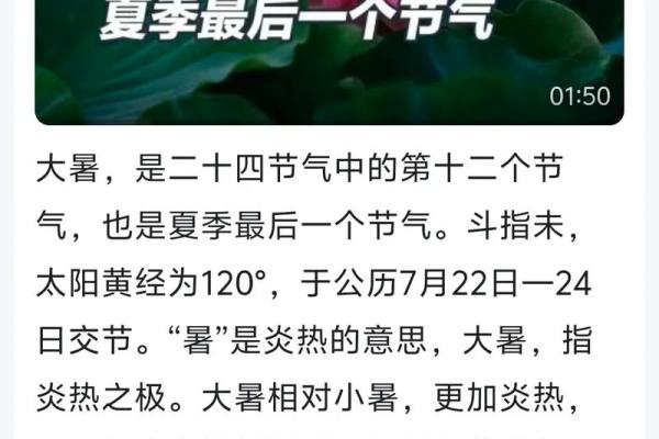 37是什么节日(37是什么节气)