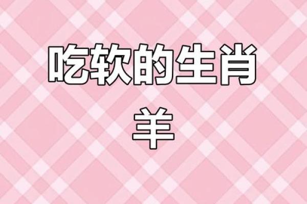 一家三口都属羊 一家三口都属羊是不是不好