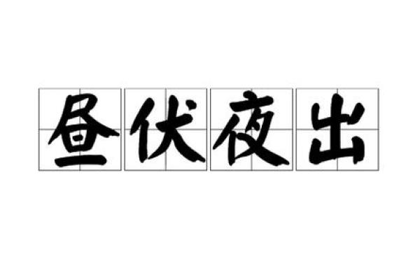 寻找日伏夜出的生肖代表，并了解其生活习性和文化寓意
