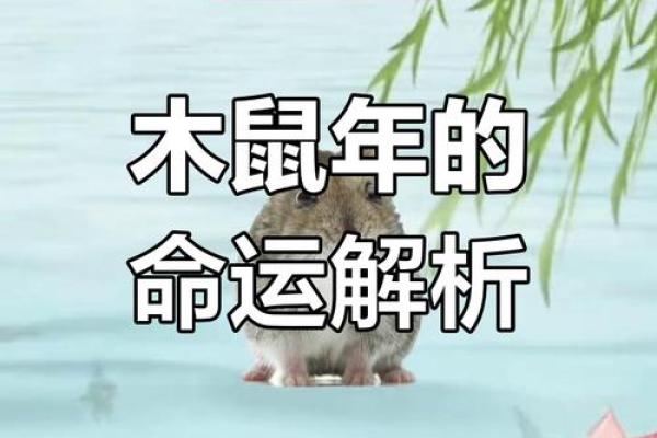 1984属鼠永久最吉利数字 1984属老鼠的吉利数字