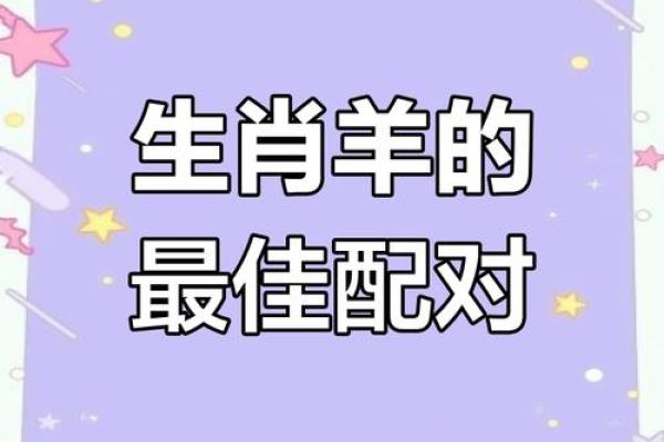 2003属羊的最佳婚配属相 2003属羊最佳配偶属相