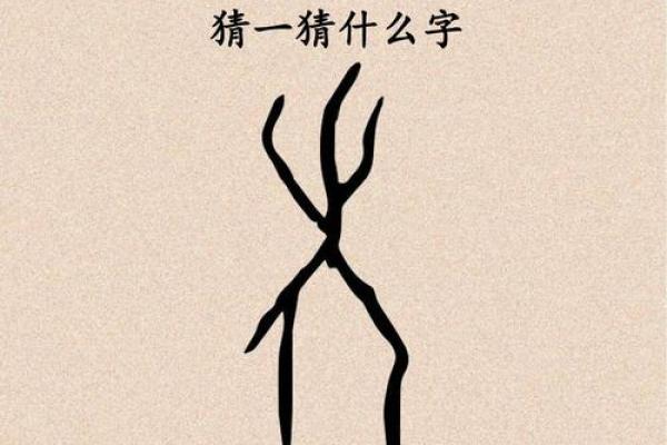 瑞字最吉利三大生肖 请问瑞字是什么意思