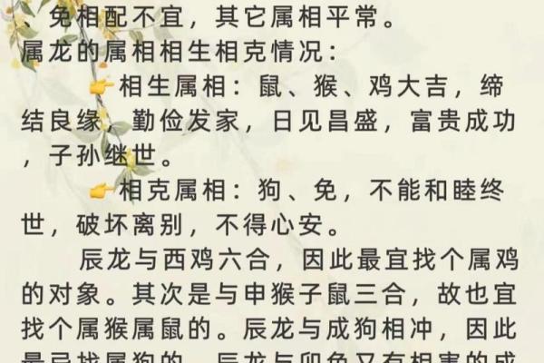 2002年女马的最佳属相配偶 2002年女马的最佳属相配偶和最不适合婚配的属相