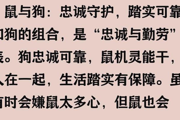 男狗女鼠的属相合不合 男狗女鼠的属相合不合婚