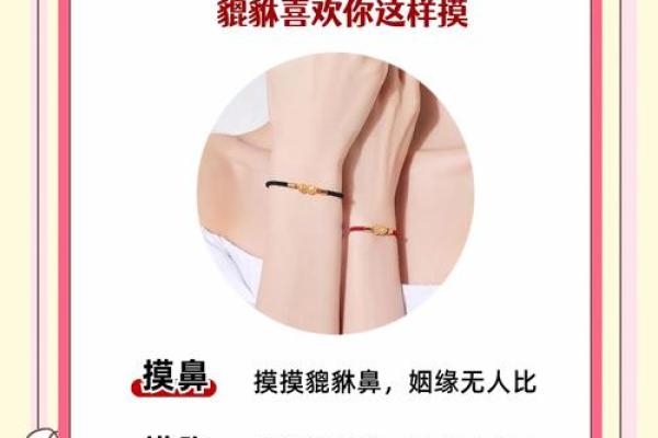 公母貔貅有什么讲究 公母貔貅有什么讲究和忌讳