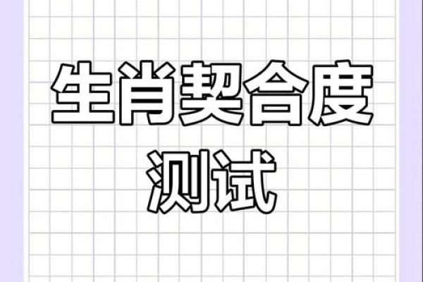 鼠与兔子属相合不合 鼠与兔子属相合不合