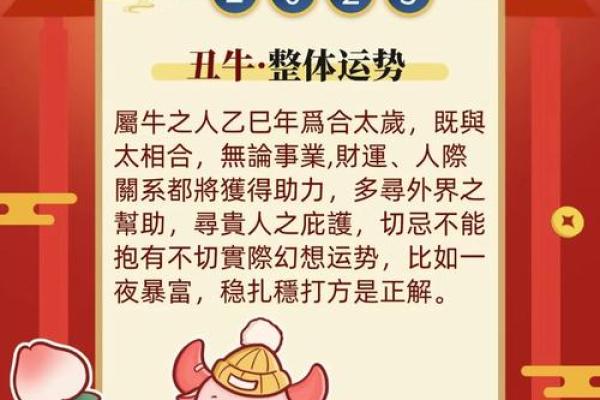 2025年属鼠人全年运势详解及每月运程完整版