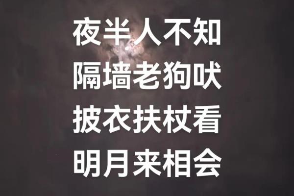 ‌柴门闻犬吠打一生肖 → 狗（犬吠柴门，夜客叩访）‌