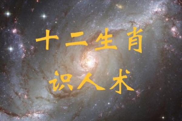 十山八里出真人指什么生肖 十山八里出真人打一个标准生肖