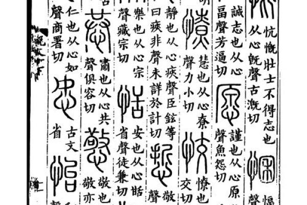 怡字什么属相不能取 怡字属什么