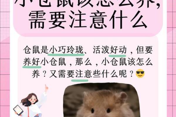 养仓鼠为什么不吉利 养仓鼠为什么不吉利的原因