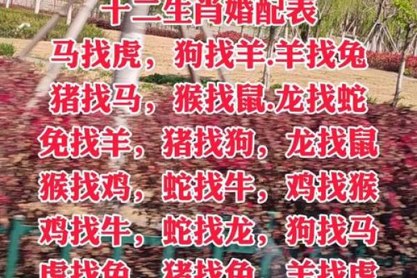 29岁属相婚配 29岁属相婚配大全