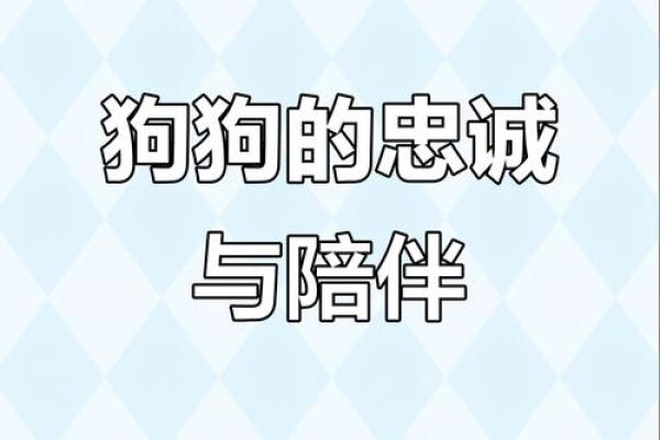 ‌一心一意最佳生肖 → 狗‌（犬心忠诚，从一而终）