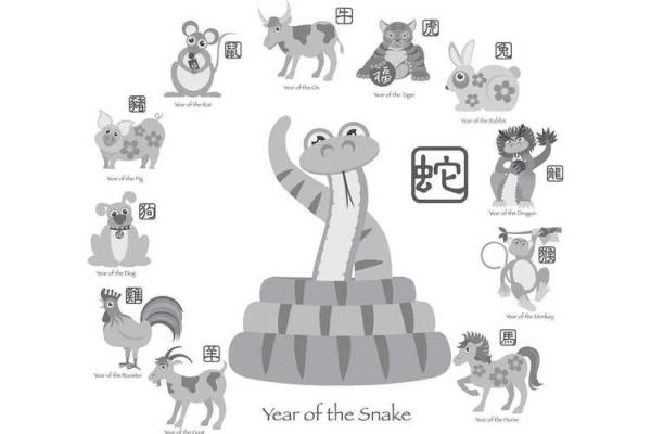 属马和属猪合不合得来 属马和属猪的人合不合