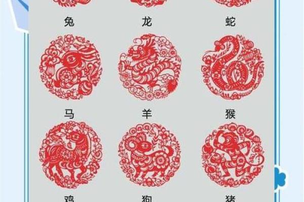 12生肖现在中国有几个 十二生肖我们中国有几个