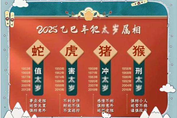2023年属兔人的全年运势如何(2023年属兔人的全年运势详解)