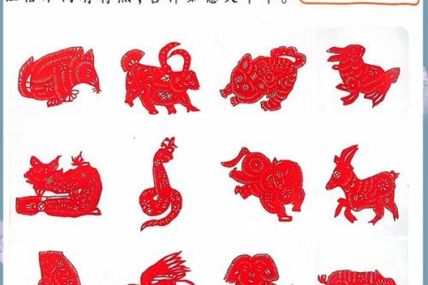 ‌春种秋收打一生肖 → 牛‌（牛耕春土，秋收万粟）