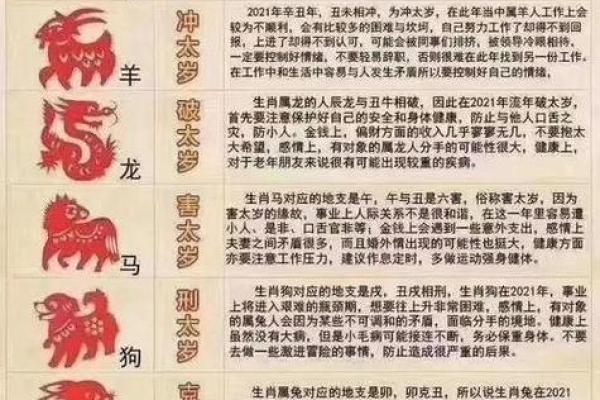 2021是什么年属什么年(2021是什么年属什么年什么命女孩起什么名)