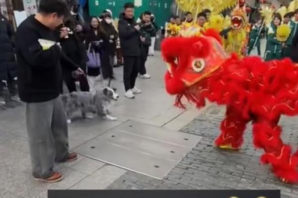 吆五喝六指什么生肖 吆五喝六指什么动物