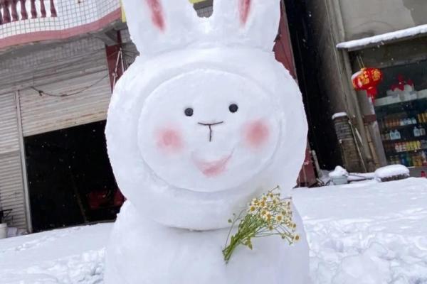 ‌雪人指什么生肖 → 兔‌（兔立寒雪，皎如堆琼）