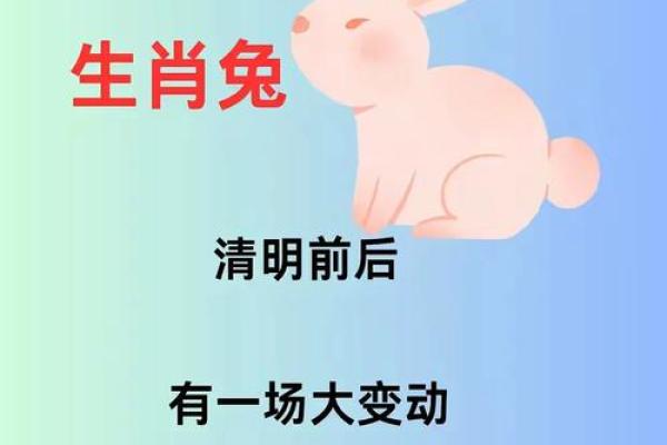 ‌雪人指什么生肖 → 兔‌（兔立寒雪，皎如堆琼）