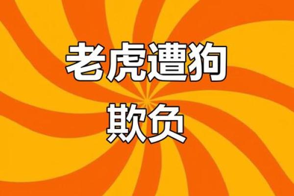 虎落平阳被犬欺打一生肖