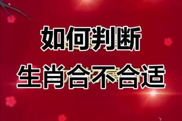 属相不合的人在一起会怎样 属相不合会怎么样