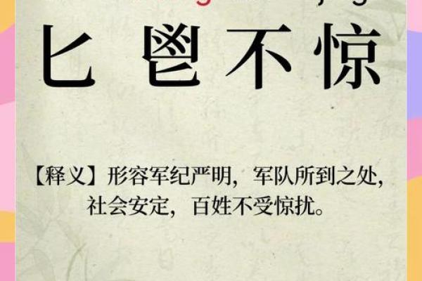 ‌匕鬯不惊打一正确生肖 → 狗（犬护匕鬯，处变不惊）‌