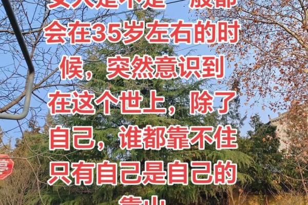 最靠自己的5个生肖女 都说靠自己的女人最精彩,谁知靠自己的女人多心酸
