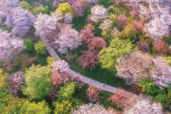 ‌鸟语花香打一生肖 → 画眉‌（眉鸟啼春，百花竞放）