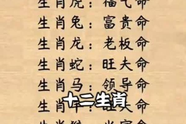 多多益善是什么生肖