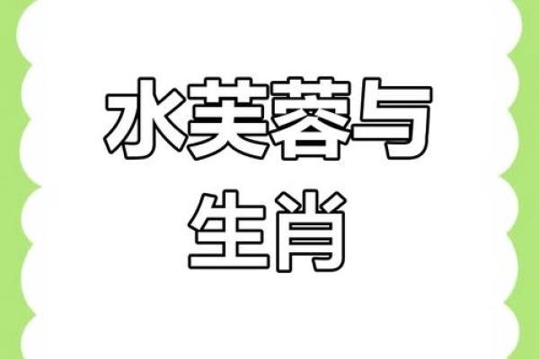 远水救不了近火打一正确生肖