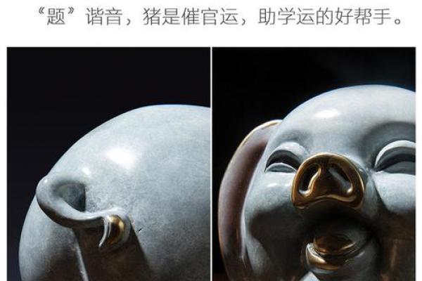 掌上明珠是什么生肖 掌上明珠打一生肖正确数字