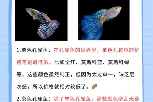 孔雀最忌三种属相 孔雀禁忌