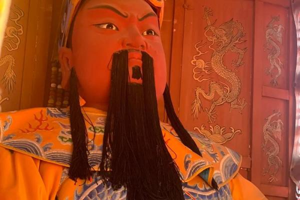黄袍加身打一正确生肖(黄袍加身打一正确生肖动物)