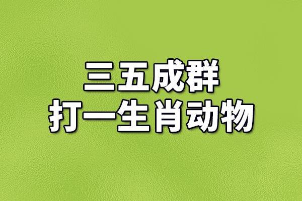 凤头猪肚指什么生肖(凤头猪肚打一动物)