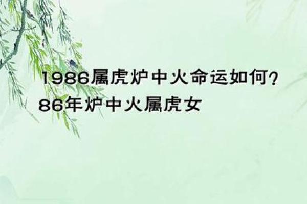1986年属虎三大劫难 86年属虎的三大劫难算命网