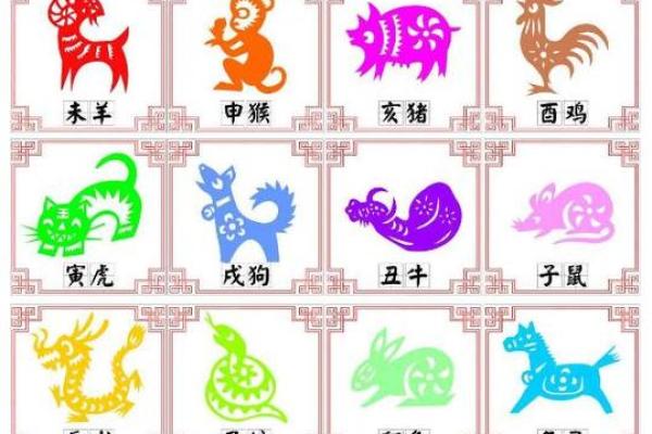 维字什么属相不能取 维在名字中的属性