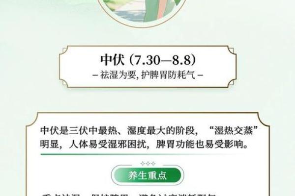 二三出巢三高翔代表什么生肖 二三出巢三高翔打最正确生肖