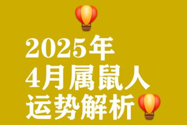 属鼠的人2025年全年运势详解，财运健康事业感情全面解析